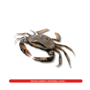 Ketam Lembut