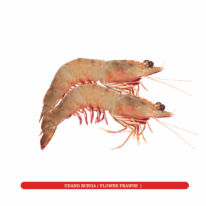 Udang Bunga