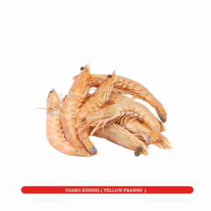 Udang Kuning