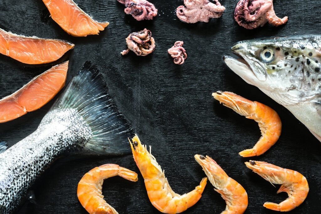 Seafood on black background