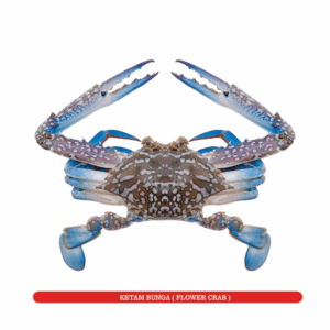 Ketam