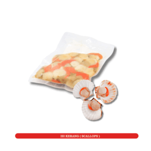 Isi Kekapis (Scallops)